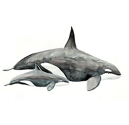 位圖 藝術效果 手繪 動物 魚 免費素材