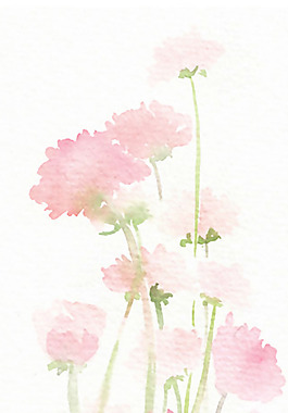 位图 植物图案 写意花卉 花朵 长寿花 免费素材