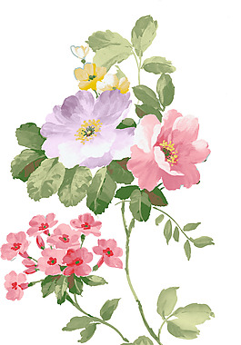 位圖 植物圖案 寫意花卉 花朵 芍藥 免費素材