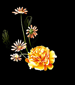 位圖 植物圖案 寫意花卉 花朵 菊花 免費素材