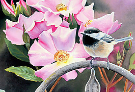 位圖 藝術(shù)效果 手繪 動物 鳥 免費(fèi)素材