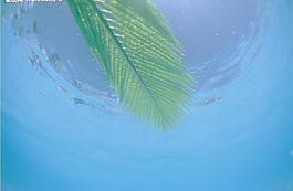 藍色海水圖片