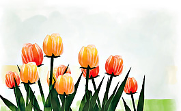 位圖 植物圖案 寫意花卉 花朵 郁金香 免費(fèi)素材