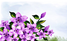 位圖 植物圖案 寫意花卉 花朵 紫羅蘭 免費素材
