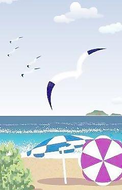 韓國(guó)夏天假日旅游矢量圖50