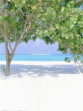 大海沙灘海島圖片