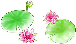 位圖 植物圖案 寫意花卉 花朵 荷花 免費(fèi)素材