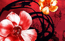 位圖 植物圖案 寫意花卉 花朵 免費(fèi)素材