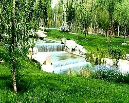 美麗風(fēng)景