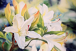 位圖 植物圖案 寫意花卉 花朵 免費(fèi)素材