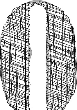 手繪字體插圖
