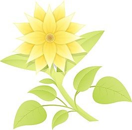 美麗的黃色花的分支