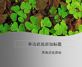 三葉草希望風(fēng)格ppt