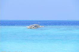大海圖片