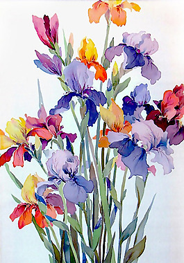 位圖 植物圖案 寫意花卉 花朵 免費(fèi)素材