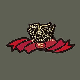 印花矢量圖 動(dòng)物 龍 文字 英文 免費(fèi)素材