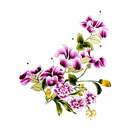 位图 植物图案 写意花卉 花朵 免费素材
