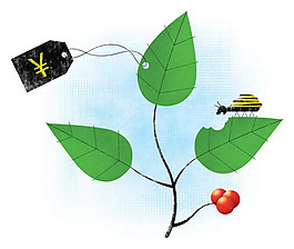位圖 動物 七星瓢蟲 植物 樹 免費素材