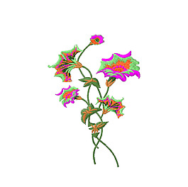 繡花 植物 花 花朵 高清 免費素材