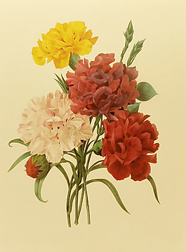 位圖 植物圖案 寫意花卉 花朵 免費(fèi)素材