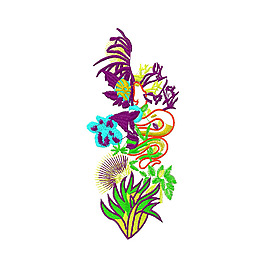 繡花 植物 花朵 高清 免費素材