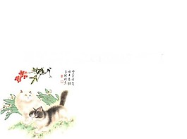 貓咪嬉戲