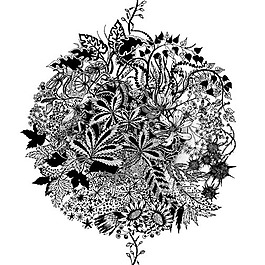 位圖 藝術(shù)效果 手繪 植物 花 免費(fèi)素材