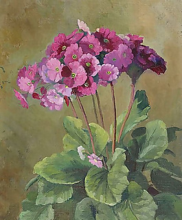 位圖 植物圖案 寫意花卉 花朵 免費素材