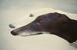 位圖 插畫 插畫師 Whyn Lewis 免費素材