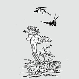 印花矢量圖 動(dòng)物 鳥 植物 花朵 免費(fèi)素材