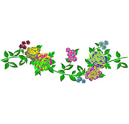 繡花 植物 花 花朵 花邊 免費(fèi)素材