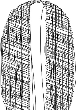 手绘字体矢量插画
