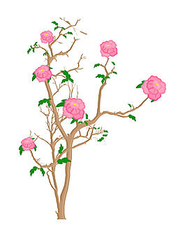 粉色花的植物設計