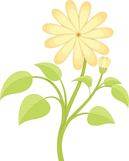 花枝