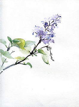 位圖 植物圖案 寫意花卉 花朵 免費(fèi)素材