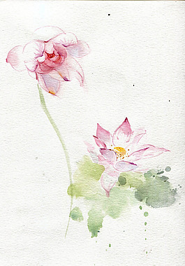 位图 植物图案 写意花卉 花朵 免费素材