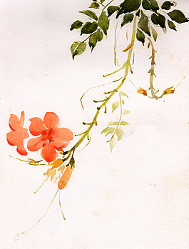 位圖 植物圖案 寫(xiě)意花卉 花朵 免費(fèi)素材