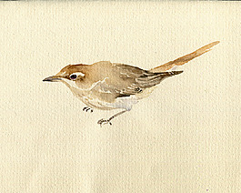位圖 插畫 插畫師 藝術(shù)效果 手繪 免費(fèi)素材