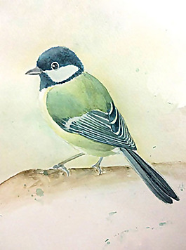 位圖 插畫 插畫師 藝術(shù)效果 手繪 免費(fèi)素材