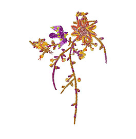 繡花 植物 花 花朵 高清 免費素材