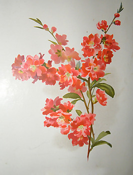位圖 植物圖案 寫意花卉 花朵 免費素材