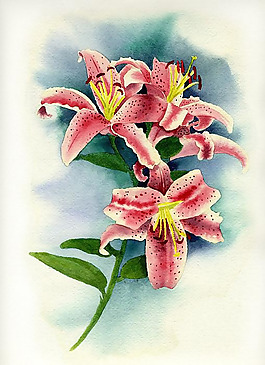 位圖 植物圖案 寫意花卉 花朵 免費素材