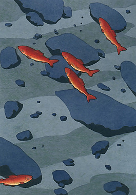 位圖 插畫師 Yan Nascimbene 法國 免費素材