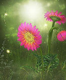 夢(mèng)幻背景 花朵圖片
