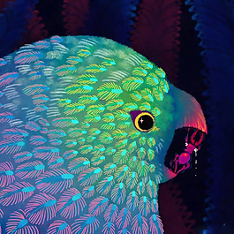 位圖 插畫 插畫師 動物插畫 鳥類 免費(fèi)素材