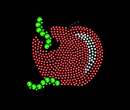 燙鉆 蘋果 免費素材