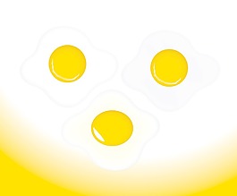 蛋黄向量