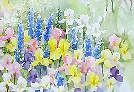 位圖 植物圖案 寫(xiě)意花卉 花朵 免費(fèi)素材