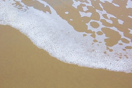 潮濕的海洋沙灘