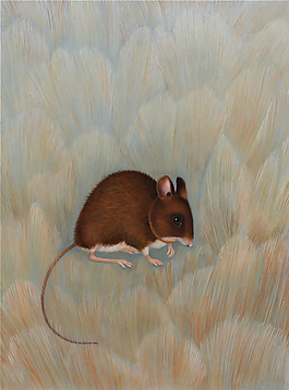 位圖 插畫 插畫師 Whyn Lewis 免費素材